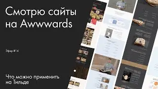 Смотрю сайты на Awwwards №14. Что можно применить на Тильде