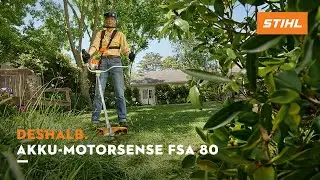 Akku-Motorsense FSA 80 | Deshalb STIHL