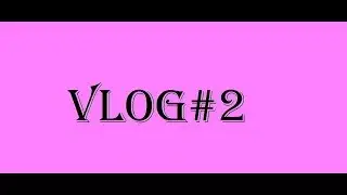 Vlog#2(Voice reveal)