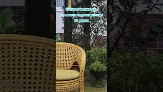 #stork