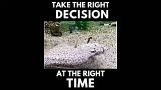 Right decision at the right time