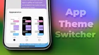 SwiftUI App Theme Switcher - iOS 17 & 18