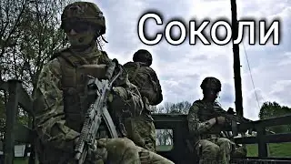 СОКОЛИ || УКРАЇНСЬКІ ХЛОПЦІ НАЙКРАЩІ