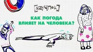 Как погода влияет на человека? — Научпок