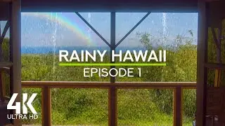 4K Window View to Tropical Downpour - Rainbow over Ocean during Rainstorm in Hawaii - #1