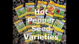 Hot Pepper Seed Varieties to Try This Season if You Dare!! 🔥 Shirley Bovshow