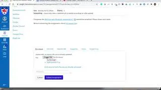 Student Instructions  Submitting an Assignment on Canvas