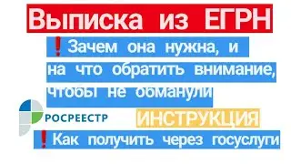 Выписка из ЕГРН. Зачем она нужна и на что обратить внимание. Как получить выписку через госуслуги