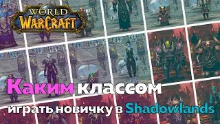 ГАЙД ДЛЯ НОВИЧКОВ - Каким классом играть в Shadowlands [World of Warcraft]