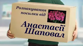 Розпакування посилки від Анастасії Шаповал. Троянди спреї: Джелато, Марвелоус Баблс, Менсфілд Парк