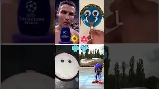 Who is the best? 