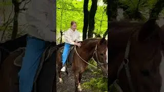 #horse