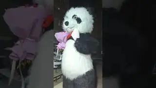 Неожиданный сюрприз в Майкопе от отца, мужа. Заказать 89618287946 #аниматорывмайкопе