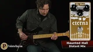 Mr. Black Eterna Gold - Does Hall Reverb