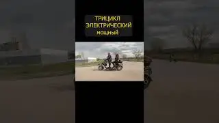 Это весело ) Трицикл электрический, в гору двоих легко, есть задний ход, грузоподъемность 160кг