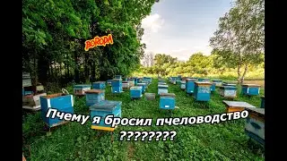 ПОЧЕМУ Я БРОСИЛ ПЧЕЛОВОДСТВО