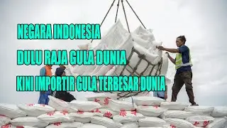 Indonesia Dulu Raja Gula Dunia Kini Importir Gula Terbesar Dunia