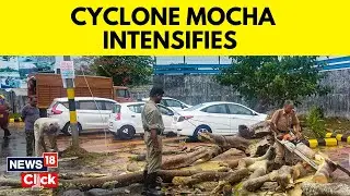 Cyclone Mocha Makes Landfall In Myanmar; Region Fraces For Devastation | Cyclone Mocha Live Updates