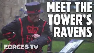 Meet The Tower Of Londons Ravenmaster | Forces TV