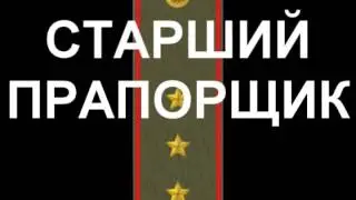 Погоны и звания РФ