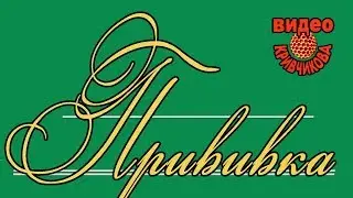 Матководство ч.5. Прививка.