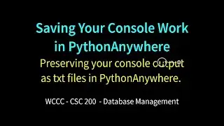 csc200 Saving Console Output to txt file