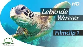 LEBENDE WASSER - Filmclip 1 - 