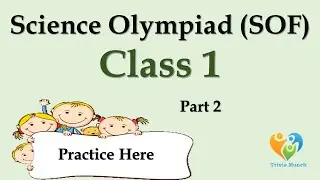 Science Olympiad for Class-1 | Science Olympiad Q/A | Science Olympiad Practice | 40 MCQ 4 practice