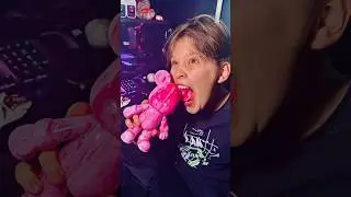DIY набор-фигурка Медведь для раскрашивания 23см 