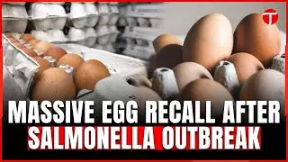 Salmonella Outbreak Prompts Egg Recall by Wisconsin