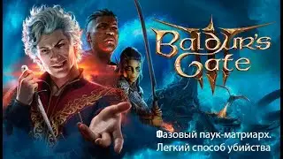 Baldur's Gate 3. Гайд: Фазовый паук-матриарх, легкий и простой в применении способ убийства босса.