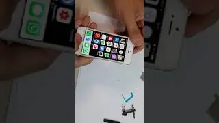 замена кнопки home на iphone 5s