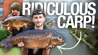 Urban Carp Fishing: Chasing Scalys in the City with Jacob Worth