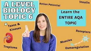 A level Biology ENTIRE topic 6: Learn the whole topic - response, muscles, synapses & homeostasis