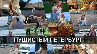 ПУШИСТЫЙ ПЕТЕРБУРГ/ путешествие с собакой в Санкт-Петербург