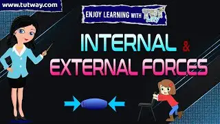 Internal and External Forces Physics | Examples of Internal and External Forces | Science