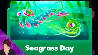 Seagrass Day Event - Super Starfish | Rosie Rayne