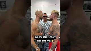 Andrew Tate And Jake Paul Face Off