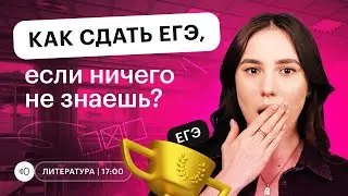 Как сдать ЕГЭ, если ничего не знаешь? | Литература ЕГЭ 2023 | Быстрая подготовка | СОТКА