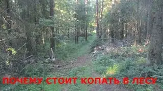 ПОЧЕМУ СТОИТ КОПАТЬ В ЛЕСУ