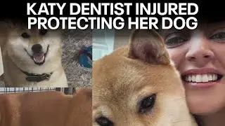 Katy dentist injured after protecting dog from attack