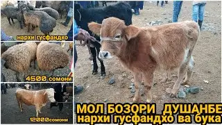 гов бозори Душанбе ленинский район нархи гусфандхо ва бука BUQACHA