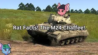 Rat Facts! The M24 Chaffee