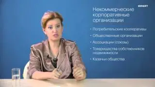 4.4. Некоммерческие организации