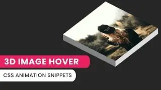 CSS3 3d image hover effect animation | CSS Animation Snippets