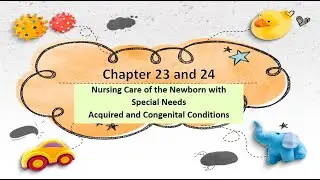 Maternal Newborn (OB)Nurse(RN)Student_Ricci 4th Ed. Full lecture Ch. 23_24 Newborns at Risk_ 21