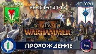 Total War Warhammer 2 | Кооператив за Высших эльфов | Прохождение |  Часть 1