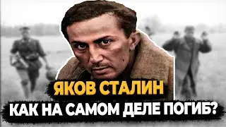 ЯКОВ СТАЛИН: КАК НА САМОМ ДЕЛЕ ПОГИБ СЫН СТАЛИНА?