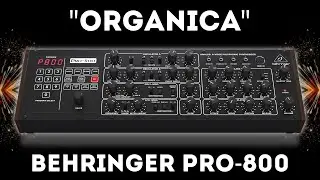Behringer Pro-800 - 