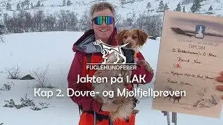 Jakten på 1.AK Del 2 - Fuglehundfeber Ep15 - Dovrefjellprøven Mjølfjellprøven
